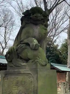 神明大神（中丸子神社）の狛犬