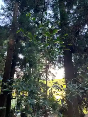 大宮温泉神社(栃木県)