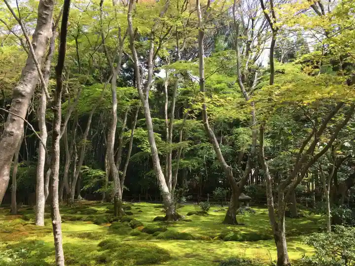 祇王寺(京都府)