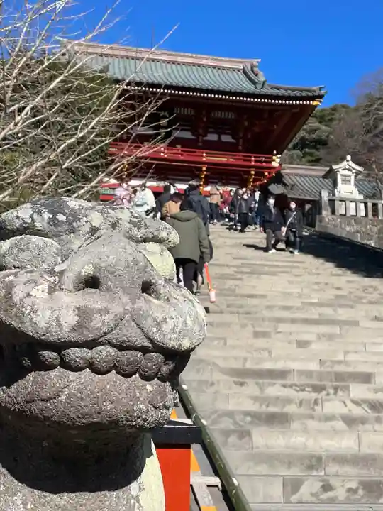 鶴岡八幡宮の狛犬