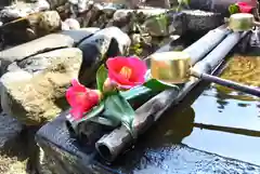 金昌寺の手水