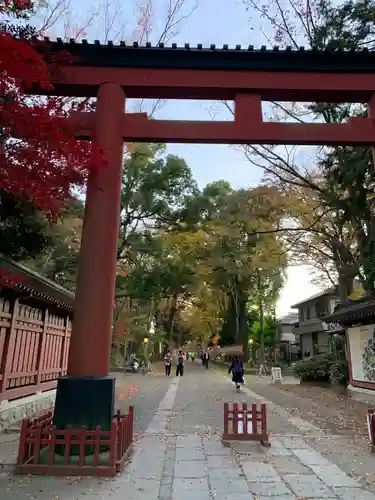 武蔵一宮氷川神社の鳥居