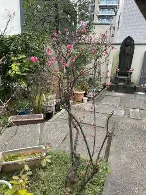 正覚寺(東京都)