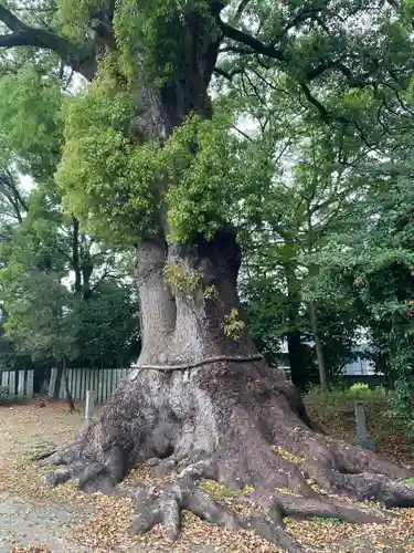 高良神社(香川県)