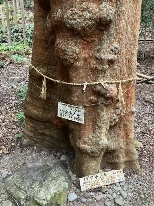豊浦神社(三重県)