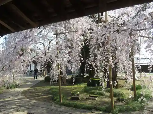 慶龍寺(茨城県)