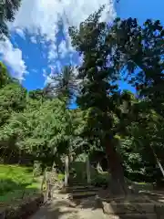 妙義神社 奥の院(群馬県)