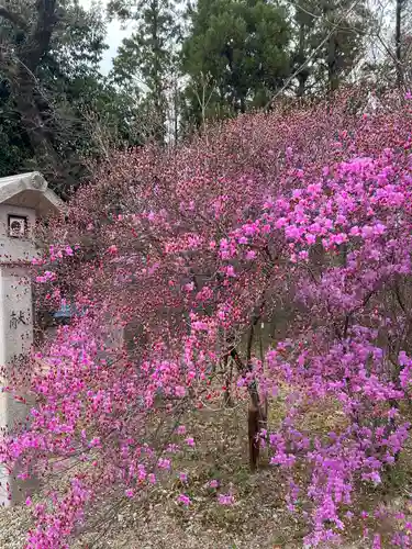 廣田神社(兵庫県)