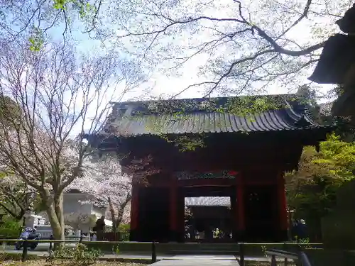 妙本寺の山門