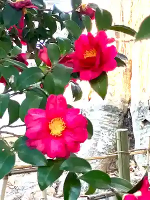 龍ケ崎八坂神社(茨城県)