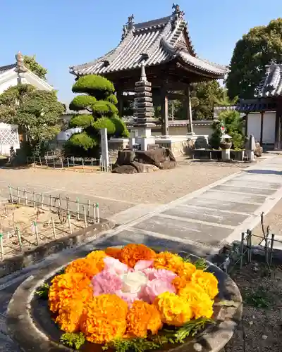 真言宗　善通寺派　薬王寺の手水