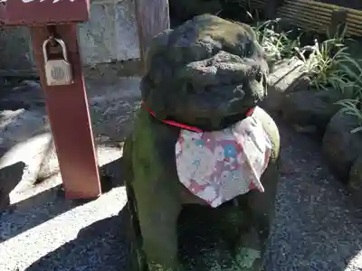 浅草寺の狛犬