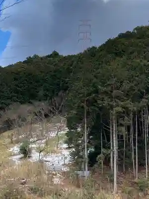 美国神社の自然