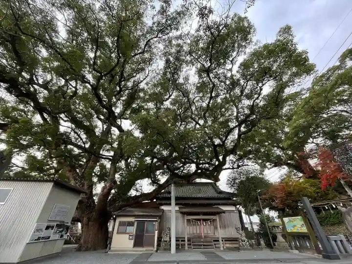 水神社(福岡県)