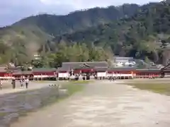 厳島神社の景色