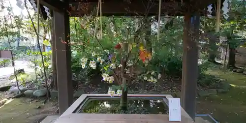 赤坂氷川神社の手水舎