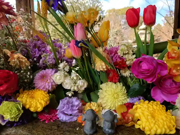 勝林寺(京都府)