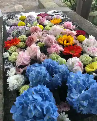 糀谷八幡宮の手水舎