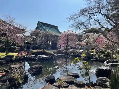 長谷寺(神奈川県)