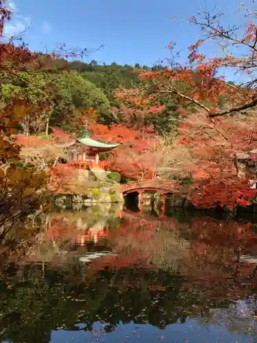 醍醐寺の庭園