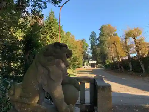 上諏訪神社の狛犬