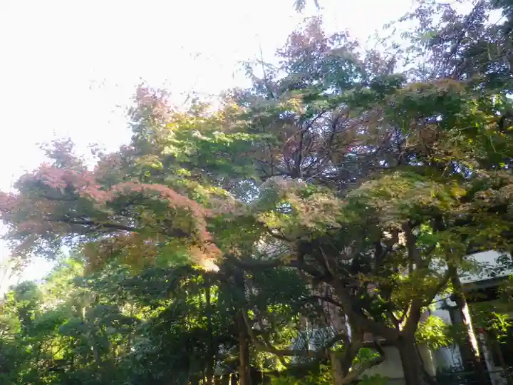 浄光明寺の自然