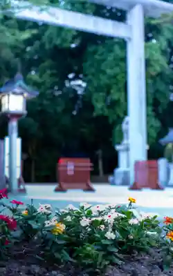 白山比咩神社(石川県)