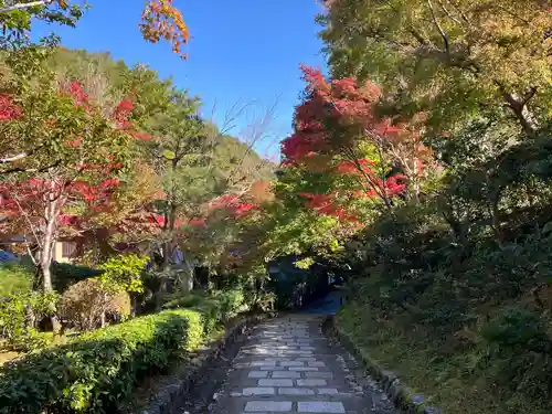 化野念仏寺(京都府)