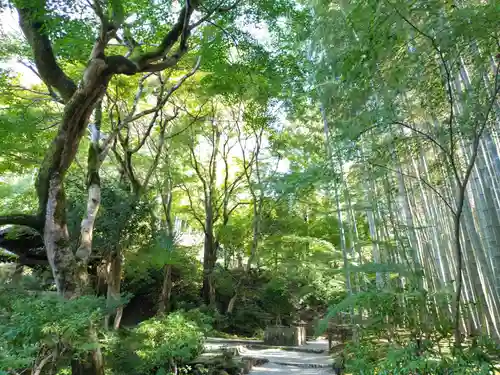 圓光寺(京都府)