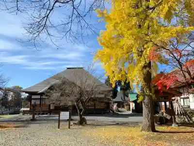願成寺の本殿・本堂