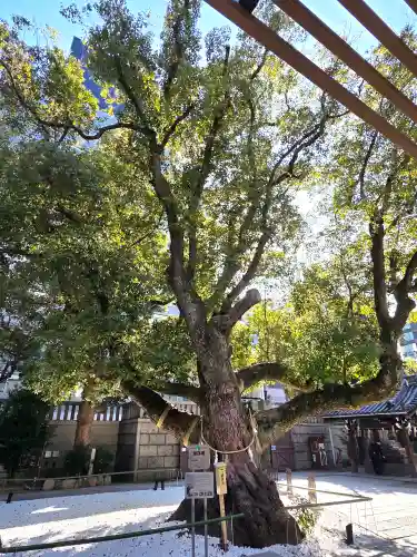 難波神社(大阪府)