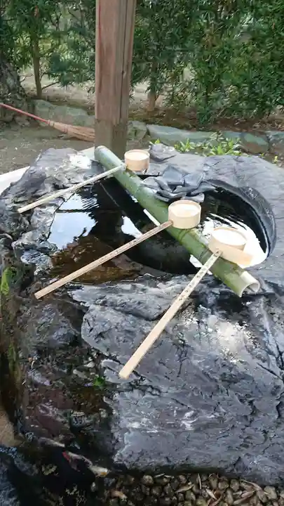 せんき薬師(西福院)の手水舎