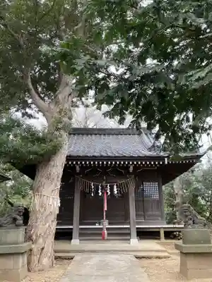 日枝神社の本殿・本堂