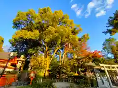 八坂神社(祇園さん)の建物その他