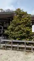 賀茂御祖神社(下鴨神社)(京都府)