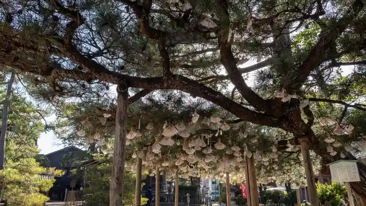 智恩寺(京都府)