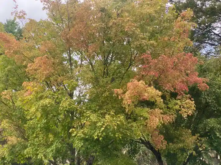 英彦山神宮(福岡県)