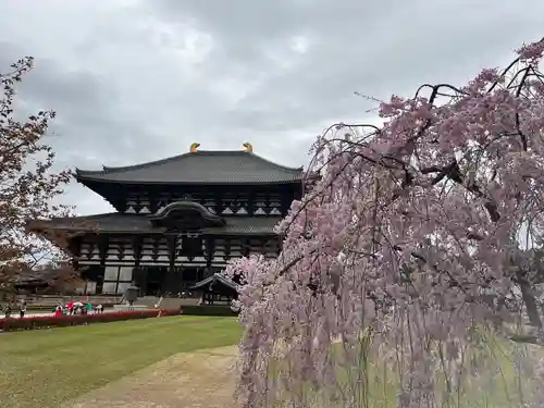 東大寺(奈良県)