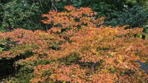 本圀寺(京都府)