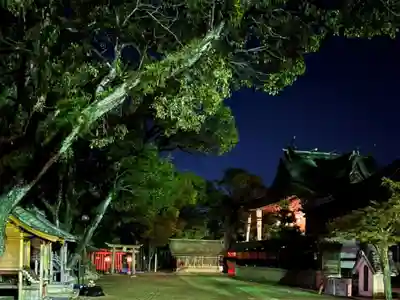 松原八幡神社の本殿・本堂