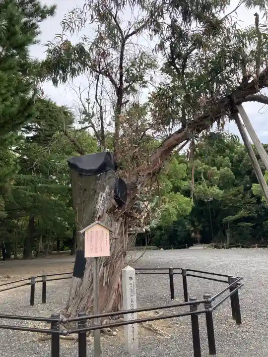 氣比神宮(福井県)