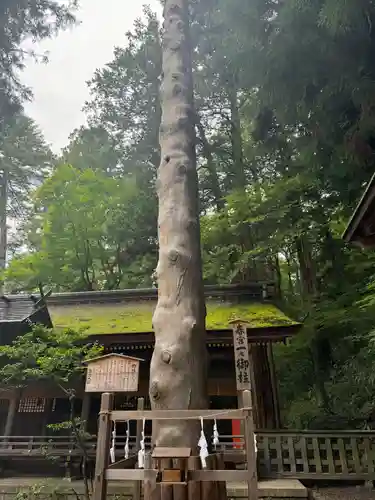 諏訪大社下社春宮(長野県)