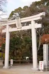 恵美酒宮天満神社の鳥居