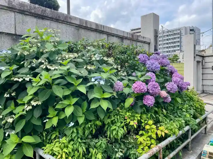 世尊寺(東京都)