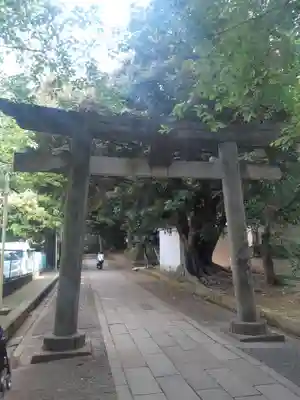 渋谷氷川神社の鳥居