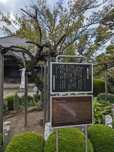 金剛寺(東京都)