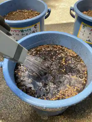 總社 和田八幡宮(福井県)