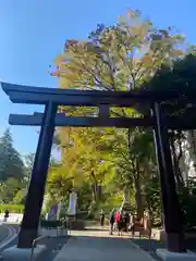 東郷神社の鳥居