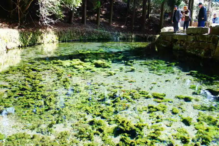 白川吉見神社(熊本県)