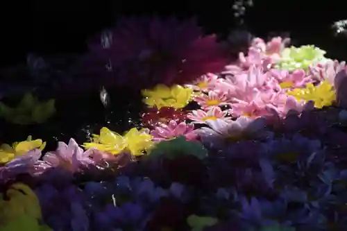 大鏑神社の手水舎